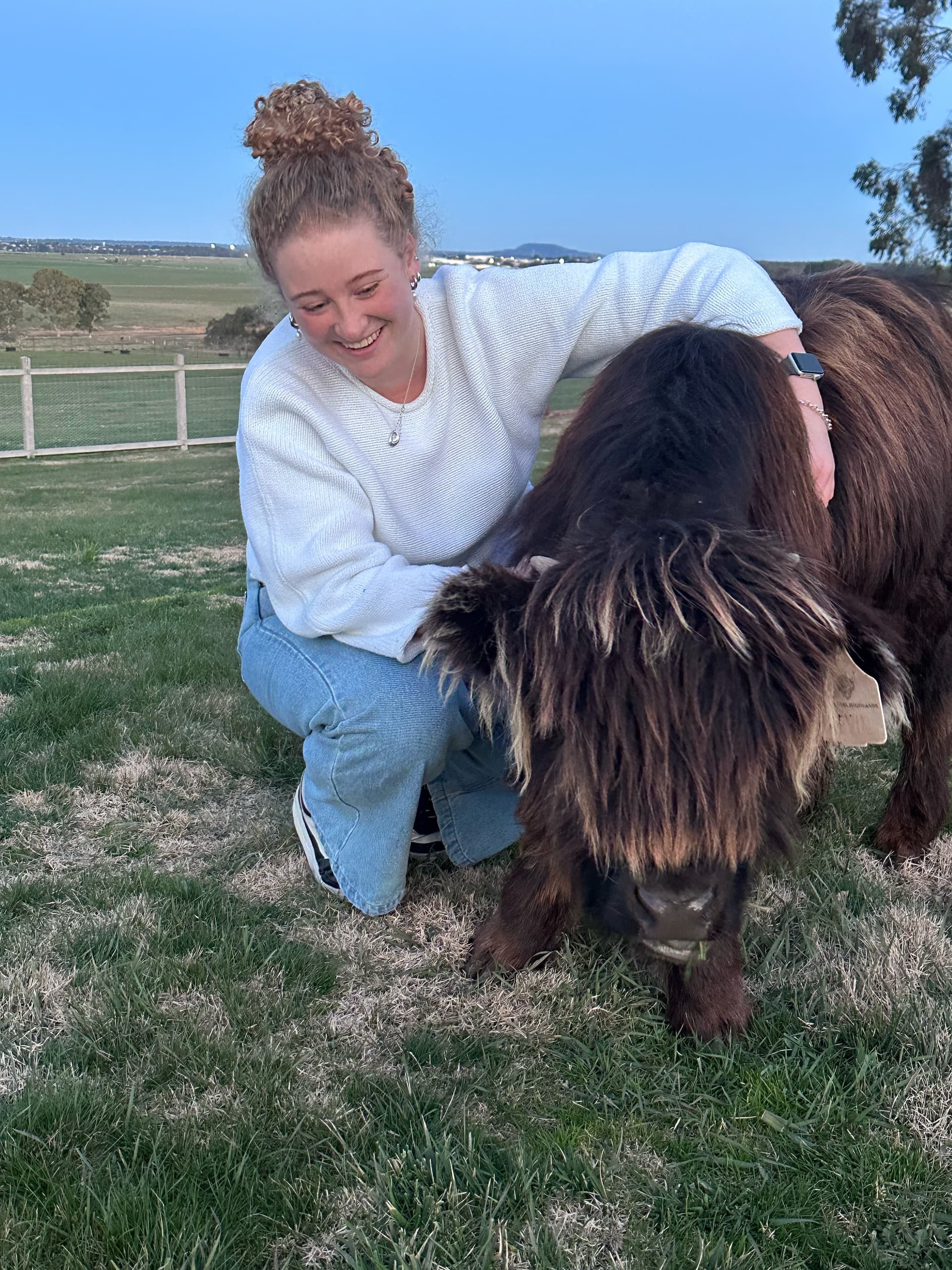 High Tea with Highland Cows at Mitchell Park: Farm Tea and Cattle Experience Near Ballarat photo 3