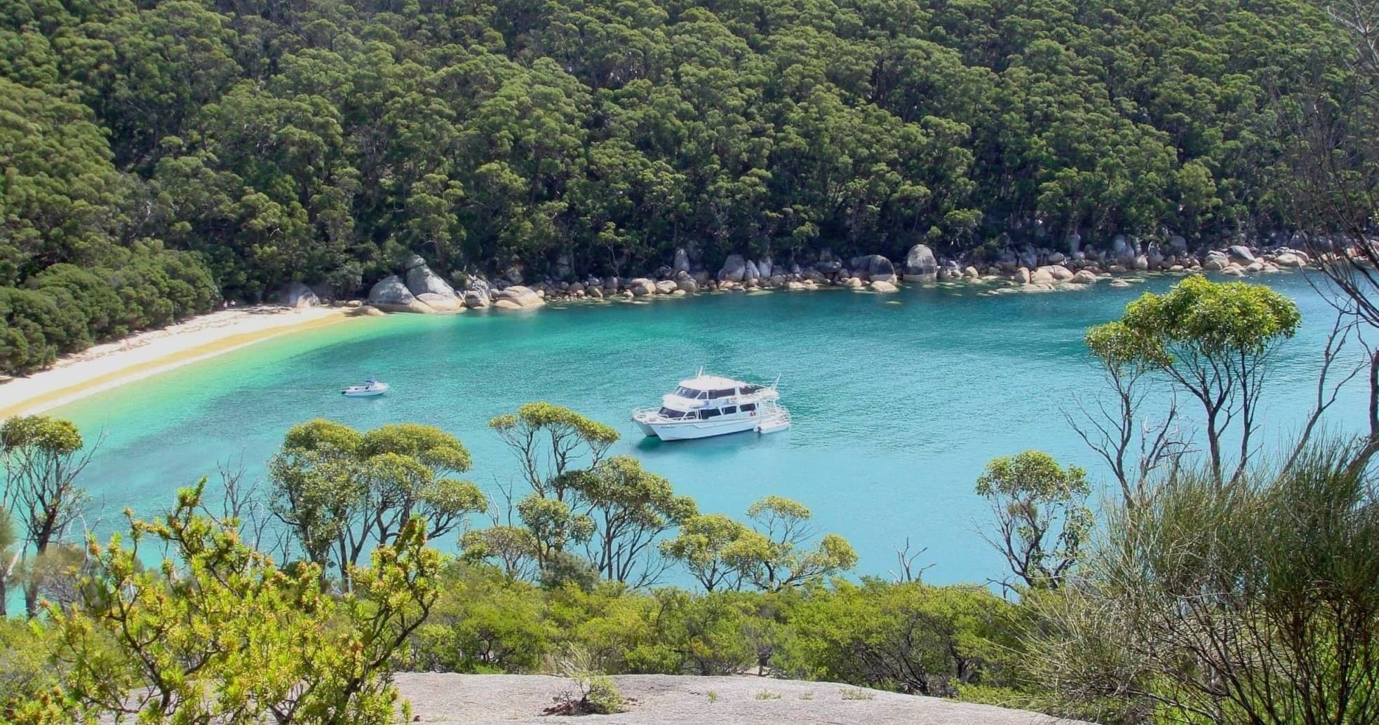 Wilsons Prom Full Day Tour: Port Welshpool Coastal Cruise to Wilsons Promontory