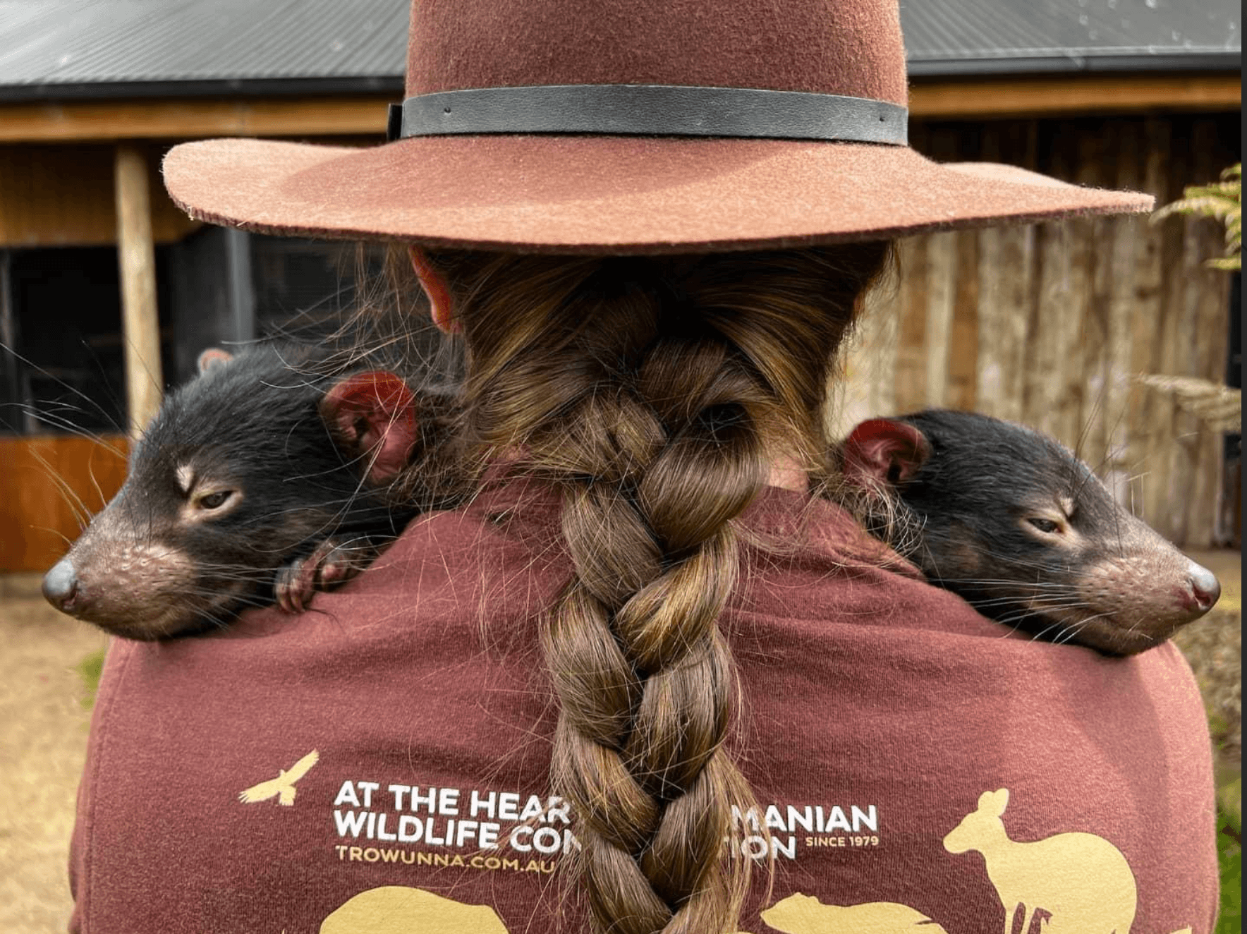 Wildlife VIP Tours at Trowunna Sanctuary, Tasmania