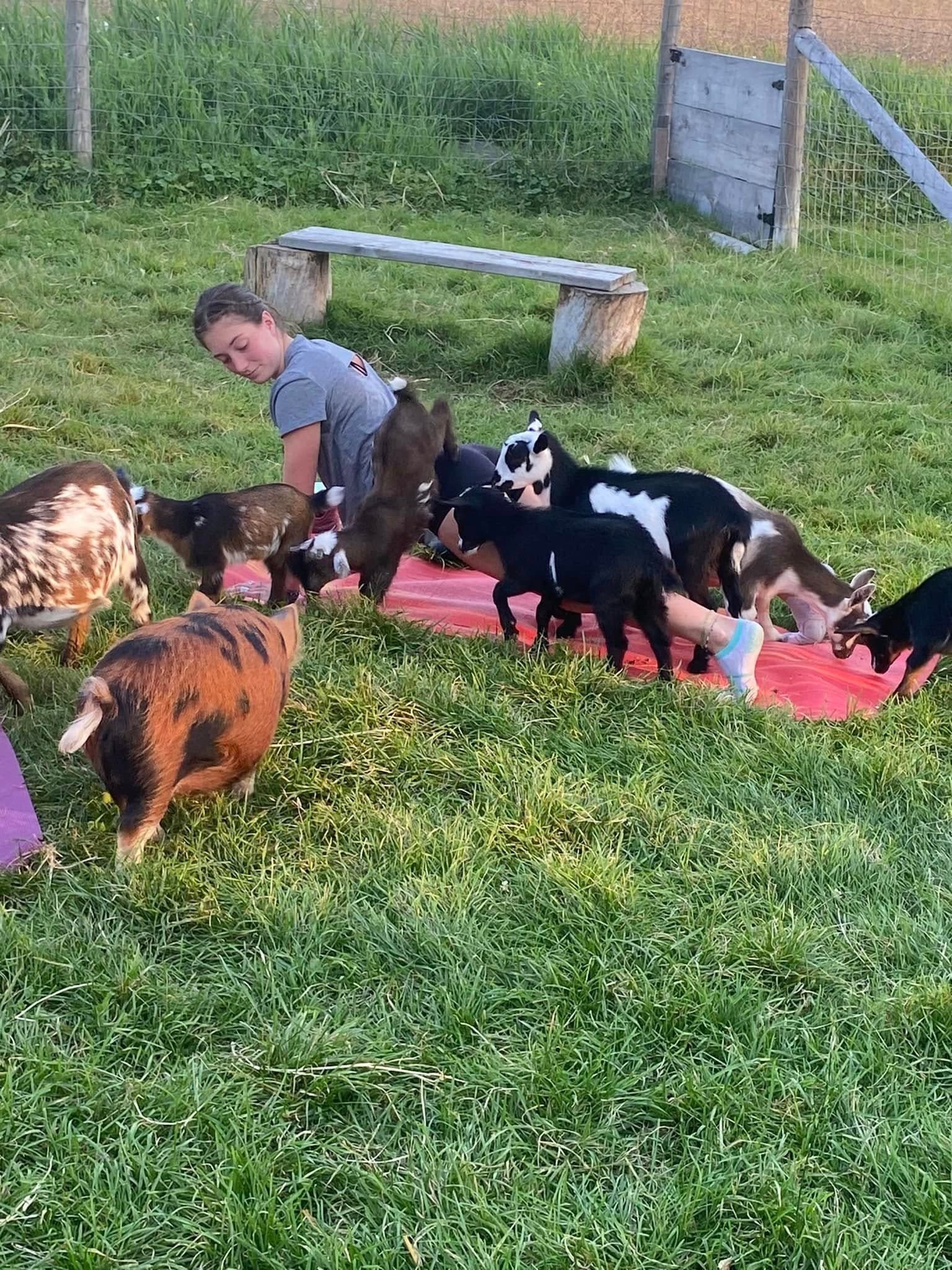 Family Goat Yoga on a Martintown Farm: Playful Outdoor Yoga for Kids and Adults
