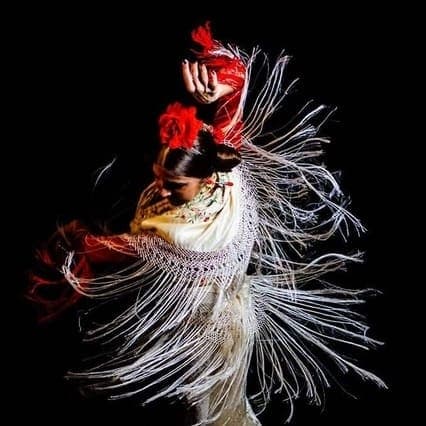 Flamenco Passion at Álvarez Quintero with Checkin Sevilla