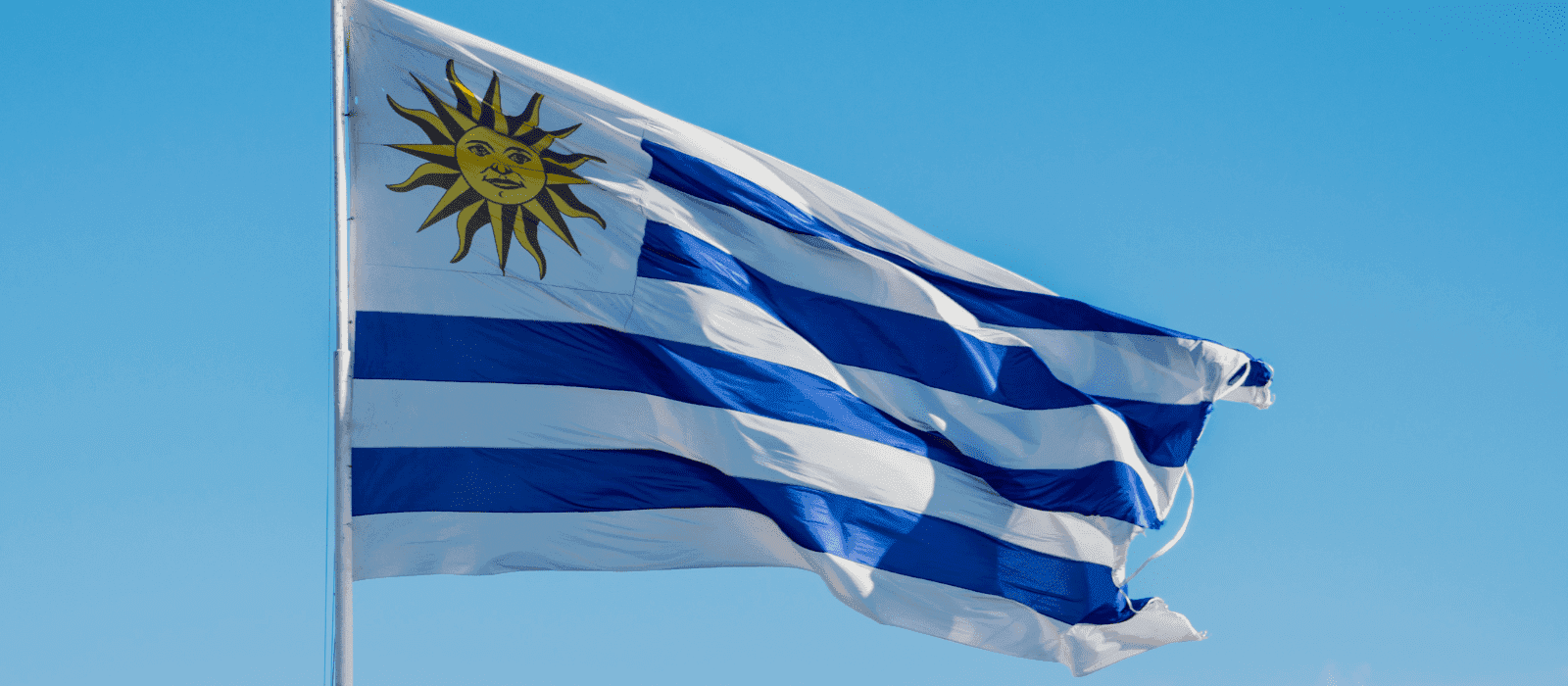 Water Activities & Cultural Tour: Montevideo from Buenos Aires