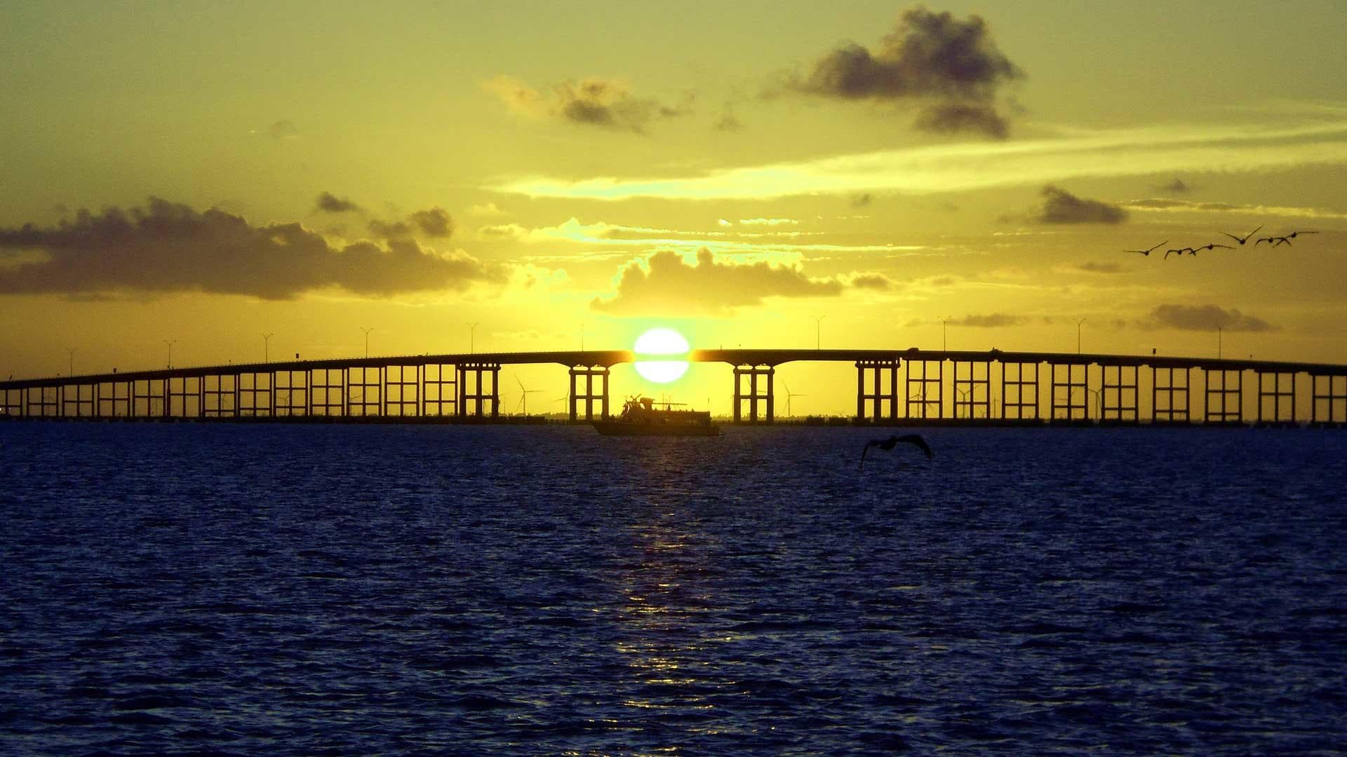 Sunset Dolphin Watch with The Original Dolphin Watch on South Padre Island