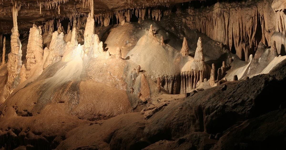 Land Adventure & Cave Tour at Marengo Cave