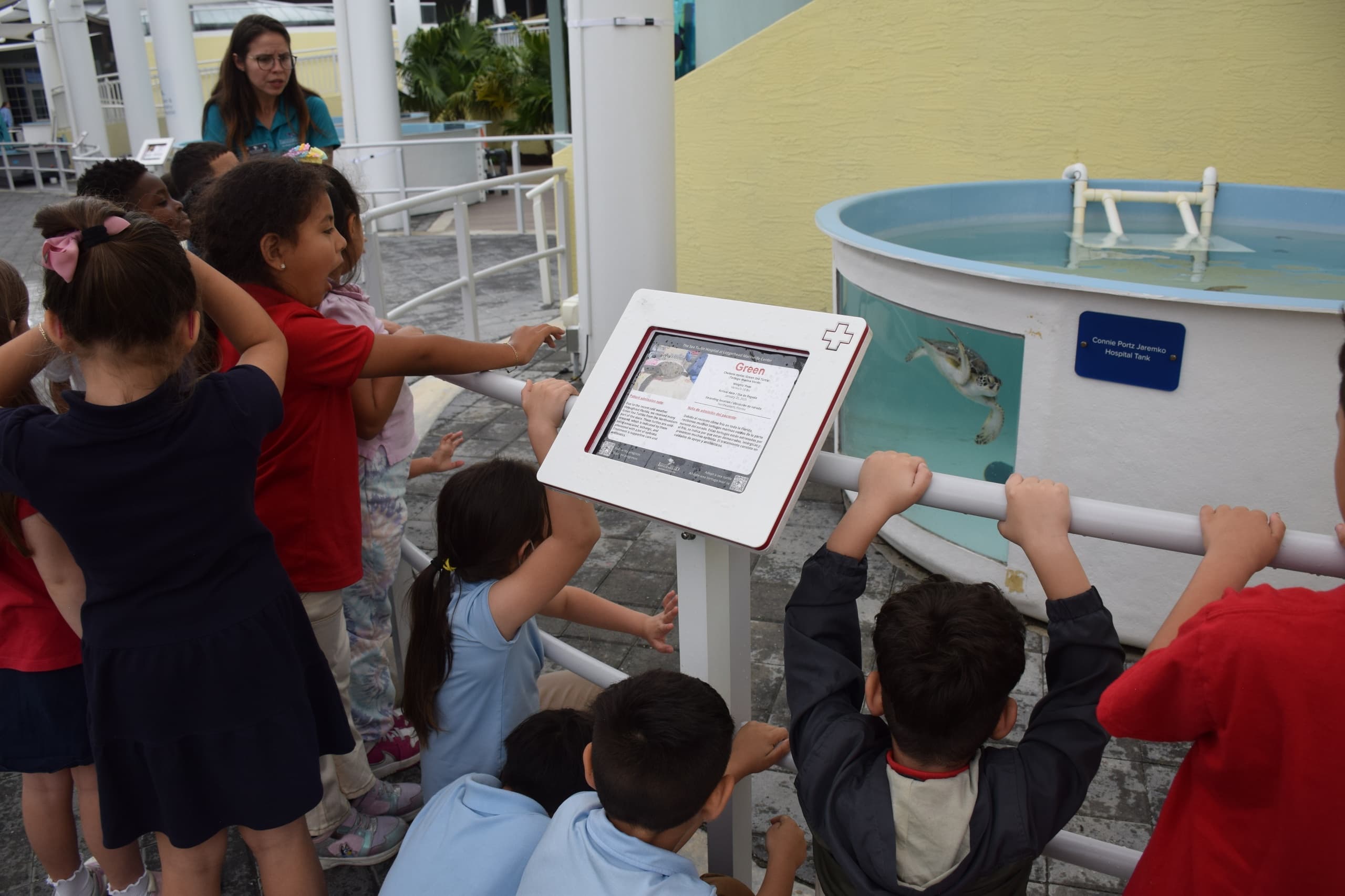 Hands-On Sea Turtle Rehabilitation at Loggerhead Marinelife Center in Juno Beach