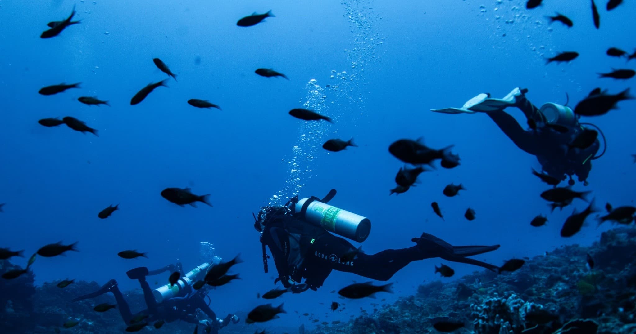 Water Activities & Dive Lord Howe: Premier Shore Dives at World Heritage Island