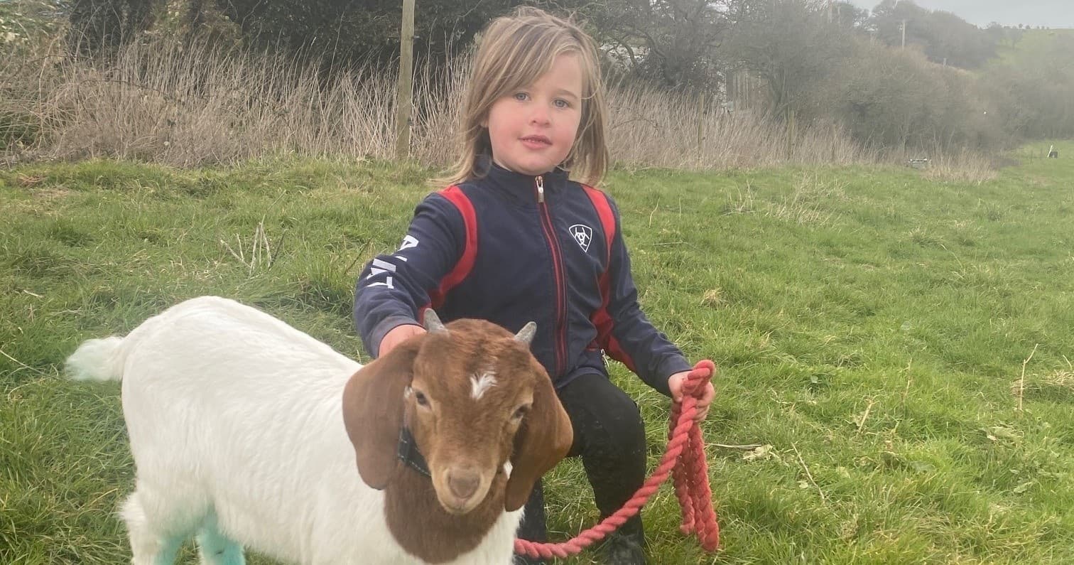 Outdoor Family Fun at Frampton Organic Farm in the UK