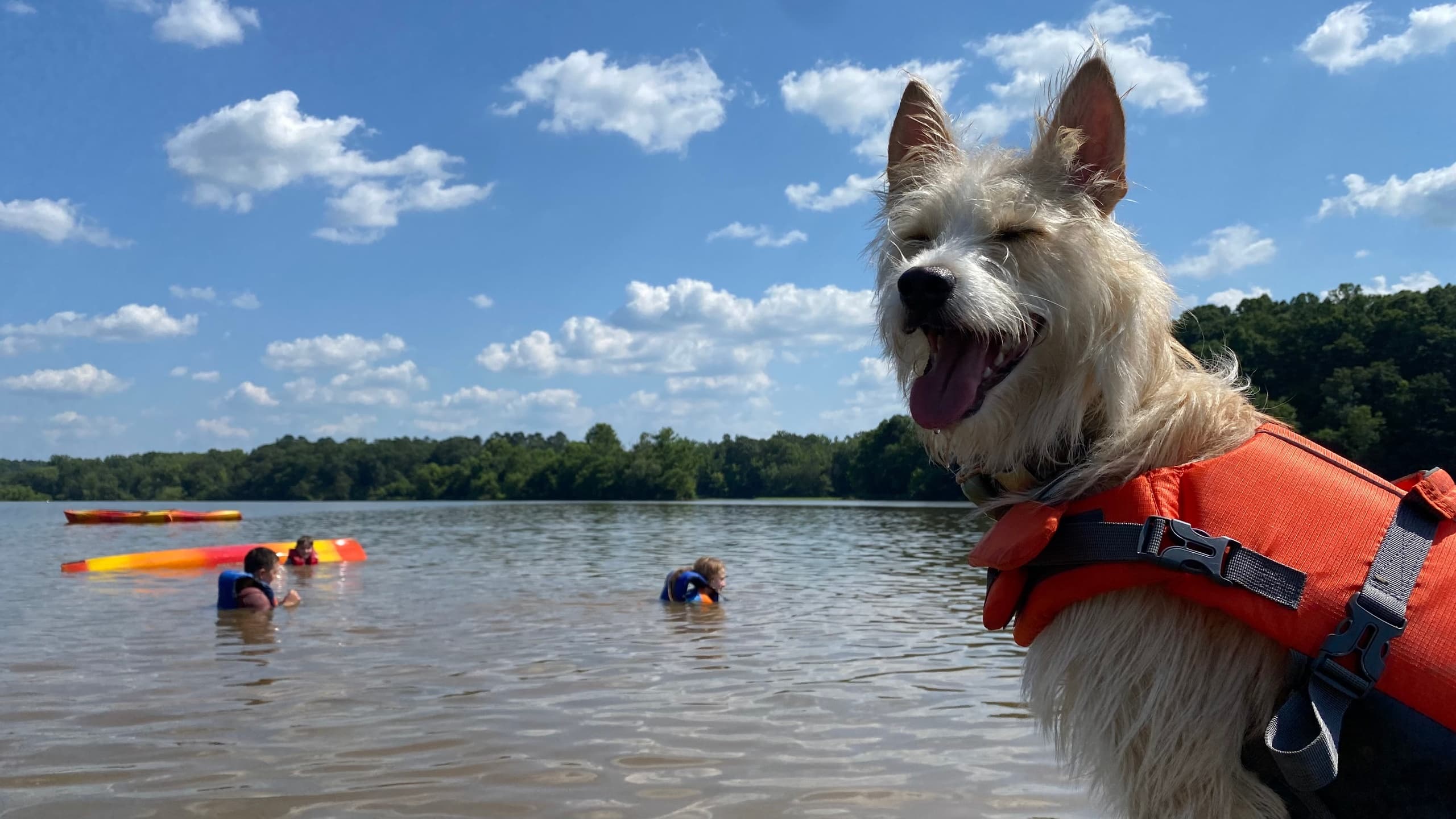 Slow Paddles & Sandbars: All Day on Saxapahaw Lake Flatwater Rentals