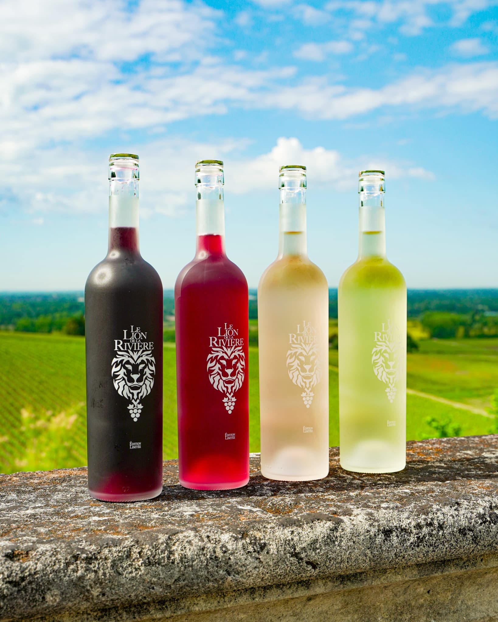 Taste Bordeaux at Château de La Rivière: Le Lion de La Rivière 3-Wine Tasting