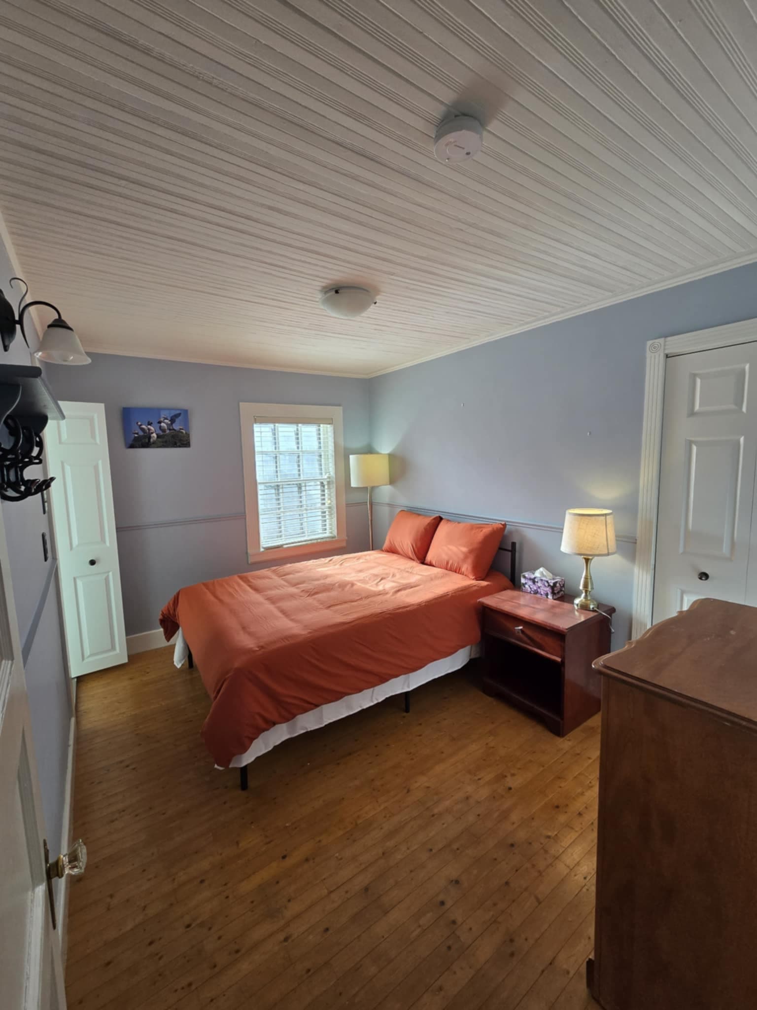 Outdoor Adventures with Trinity Eco-Tours in Trinity Bay