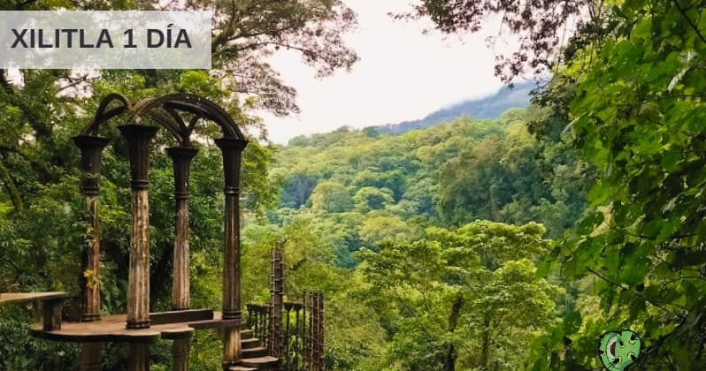 Xilitla 1 Día: Surreal Art & Jungle Trek with Corazón de Xoconostle