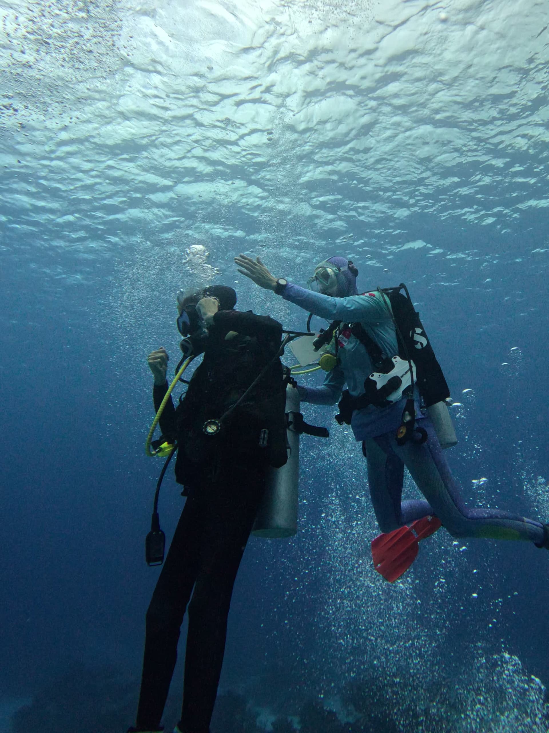 Water Activities with Discover Scuba Hawaii: Underwater Navigation Skills