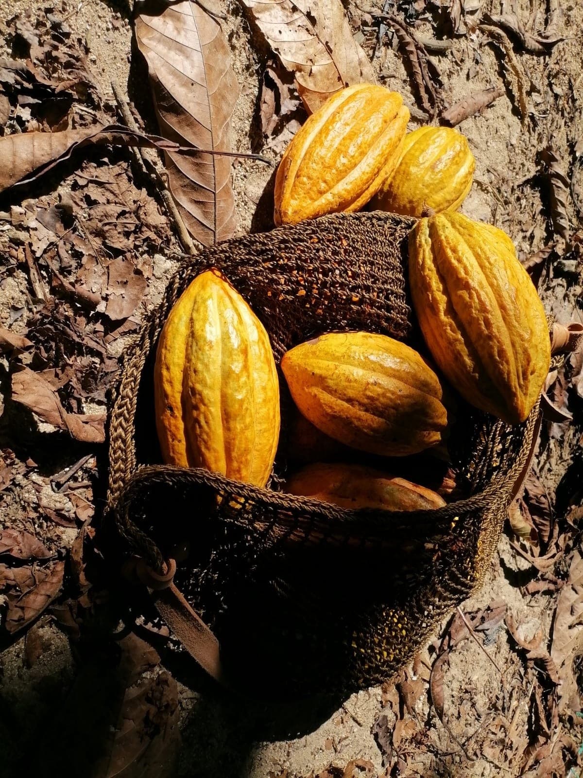Cakumba x Sin Gusano: London Cacao and Mezcal Tasting at Sorbito photo 3