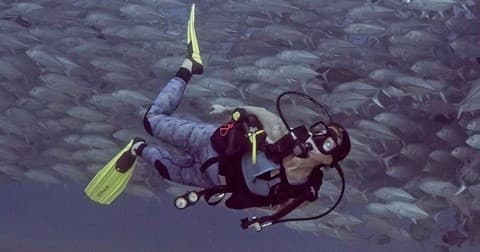 SCUBA Dive Cabo San Lucas Bay with Orca Dive Baja