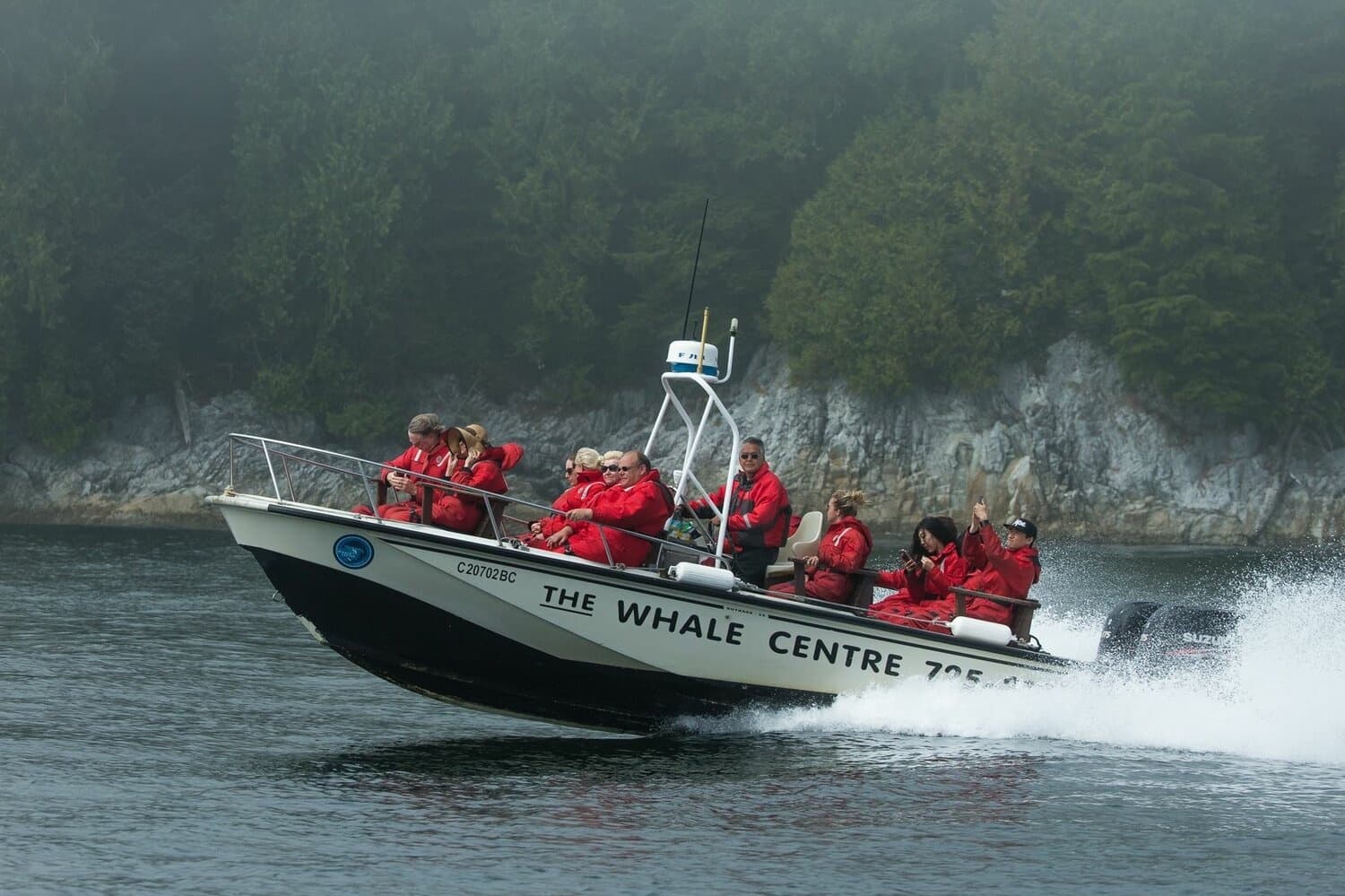 High-speed whale-watching rigid boat skimming waves with excited guests
