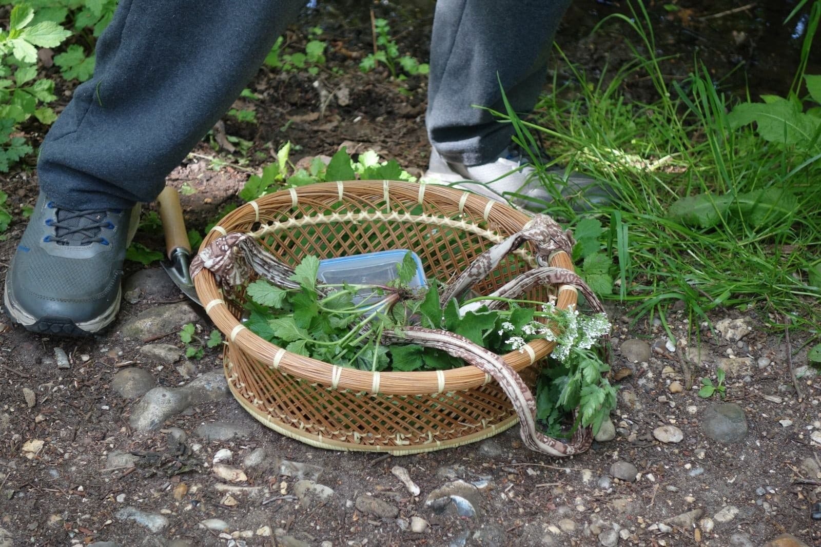 Spring Foraging at Salhouse Broad: Guided Walk with Raf photo 1