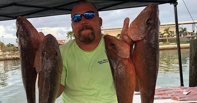 Half Day Charters with Offshore Addict in Madeira Beach