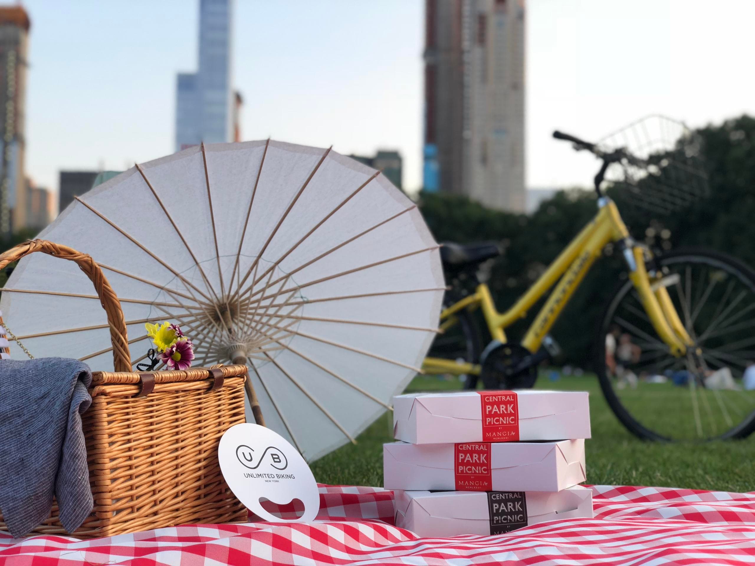 Central Park Biking & Picnic with Unlimited Biking