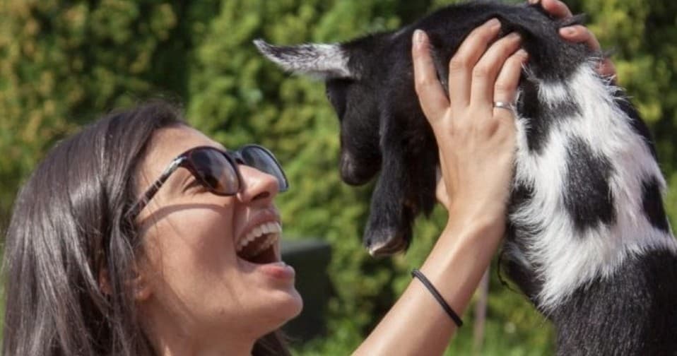 Land Adventure at Haute Goat Farm: A Unique Experience