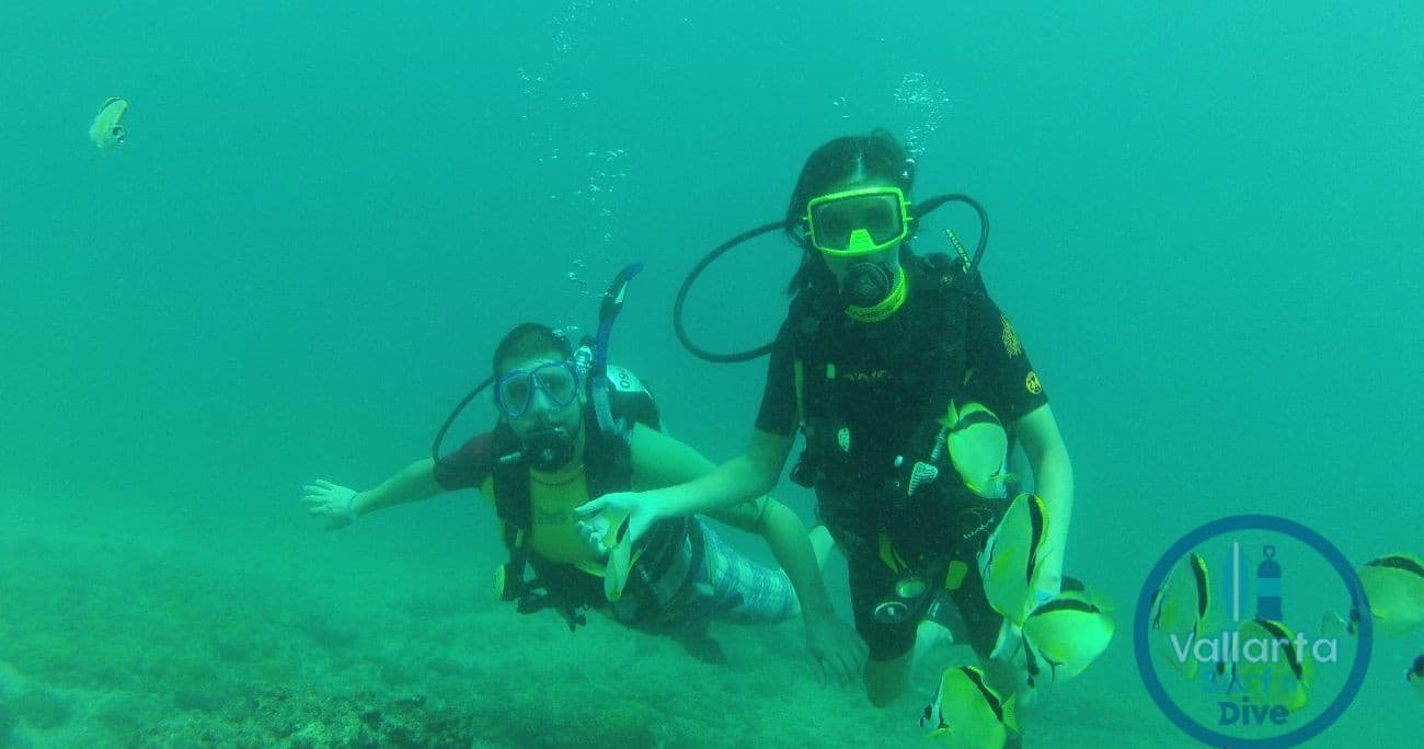 Scuba Diving Adventure at Vallarta Surf n' Dive School