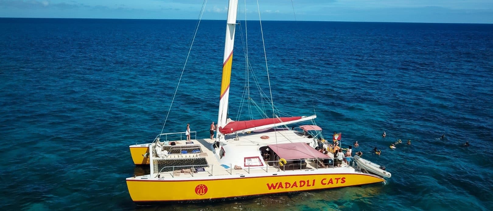 Sail and Snorkel: Exploring Cades Reef on Antigua’s Leeward Coast
