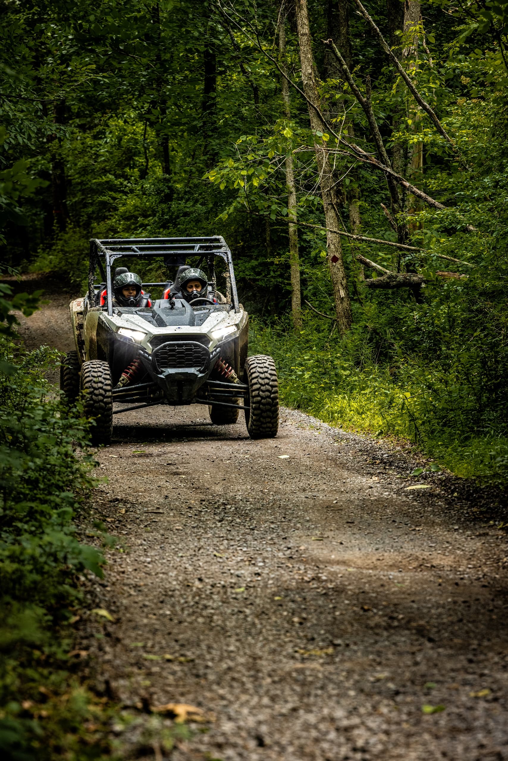 ATV riding along wooded dirt trail through green forest