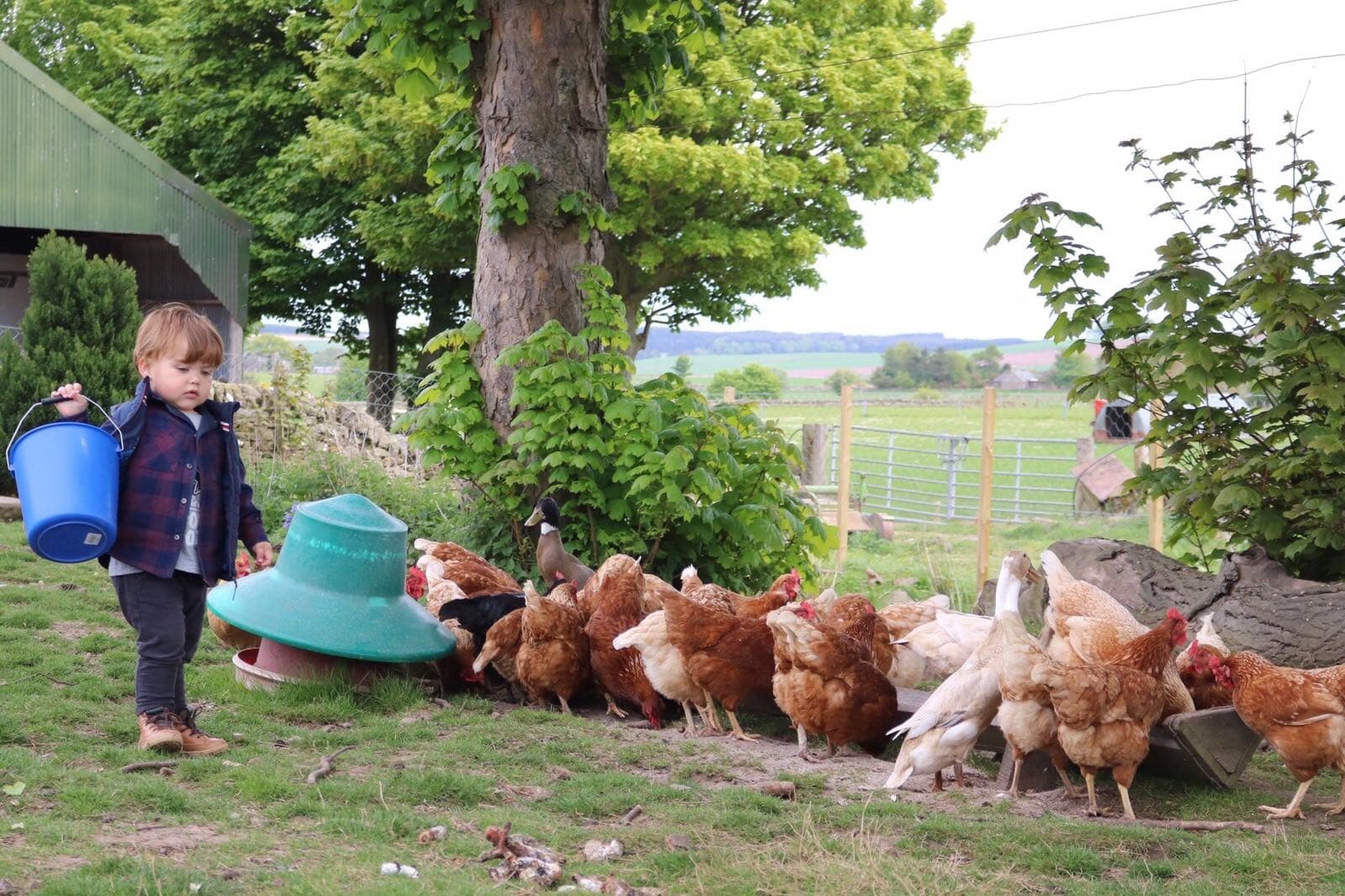 Muddy Explorers Spring — Hands-On Homeschool Farm Sessions in Inverarity, Scotland photo 3