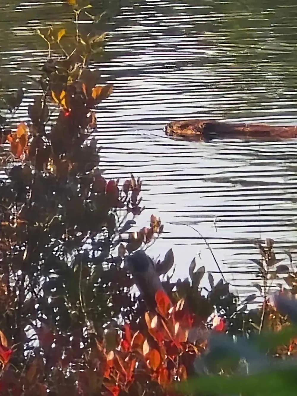 Rockefeller Carriage Road E-Bike Tour: Explore Acadia's Hidden Ponds & Lakes photo 4