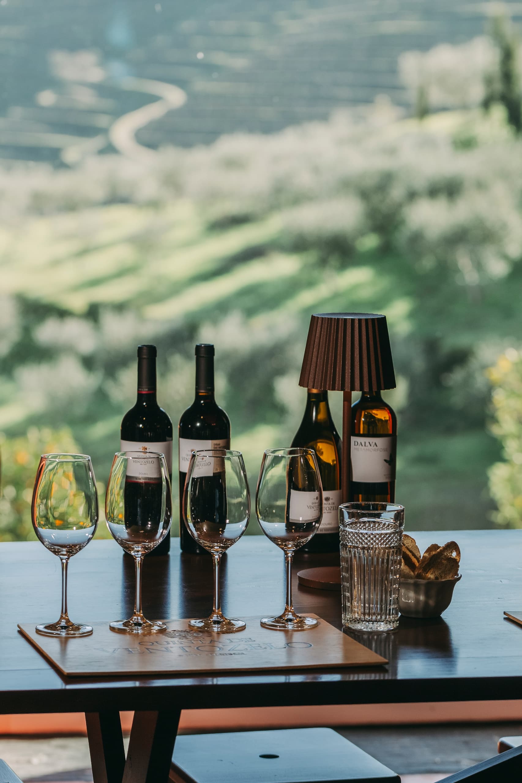 Douro Wine Tastings at Quinta de Ventozelo, Ervedosa do Douro