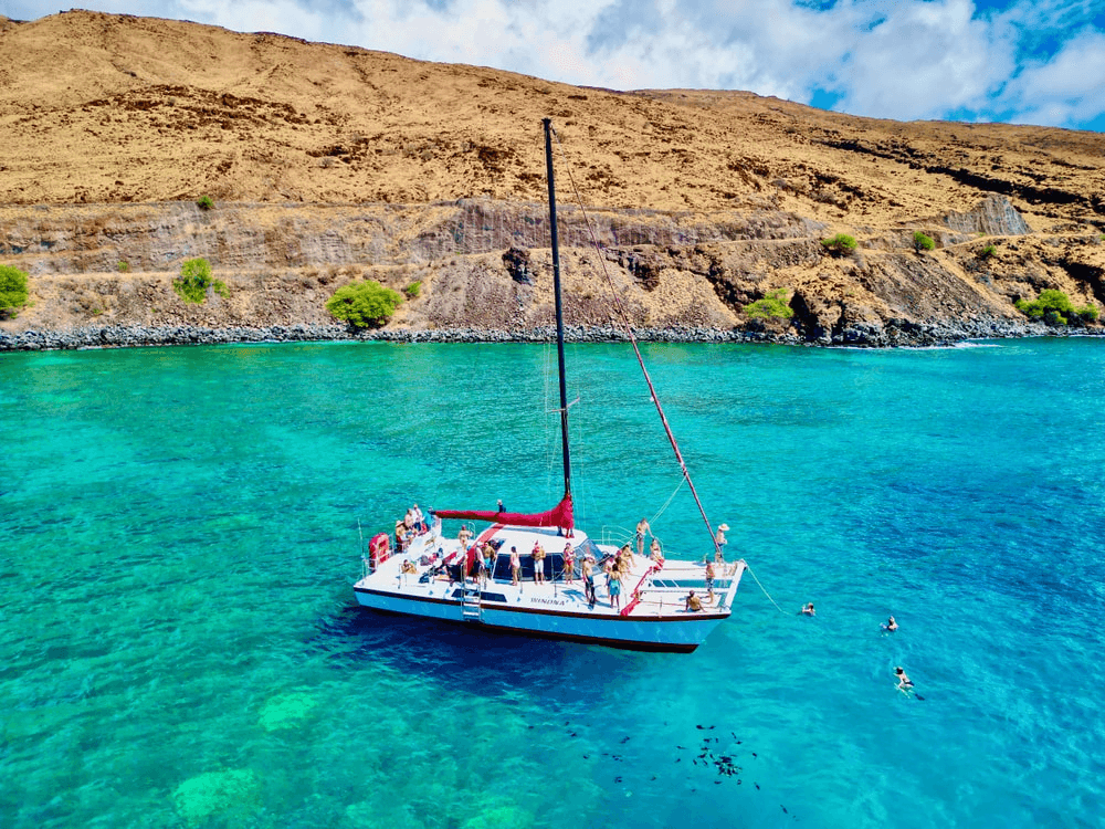 Sail to Coral Garden’s Turtle Town: Snorkel Turtle Reefs from Maui’s Winona photo 2