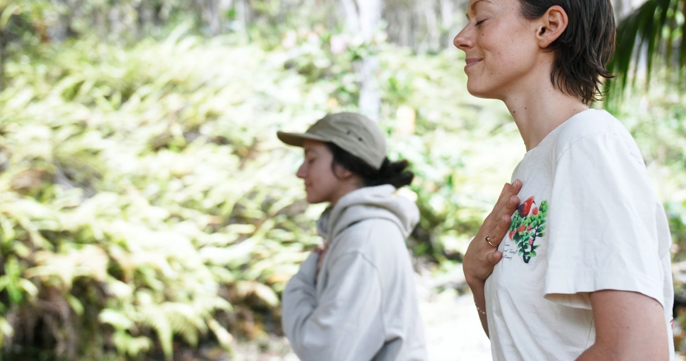 Forest Bathing in Kona’s Cloud Forest: A Free Guided Mindfulness Journey