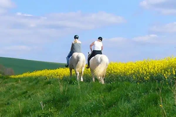 Horse Riding Adventures with Pura Aventura in Torrevieja