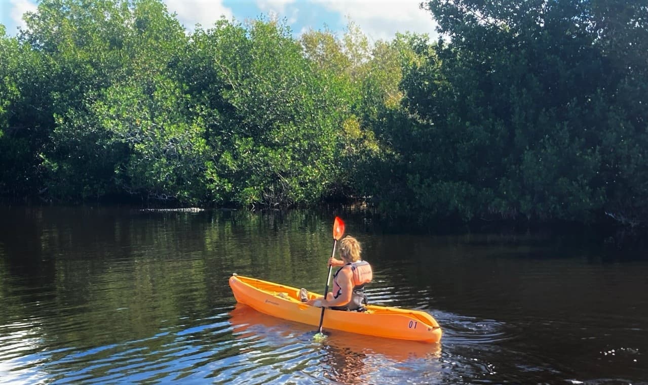 Solo kayaker paddling orange kayak through calm mangrove waters