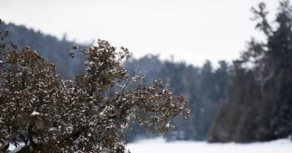 8-Day Meal & Gear Outfitting in Temagami: Backcountry Comfort on the Precambrian Shield