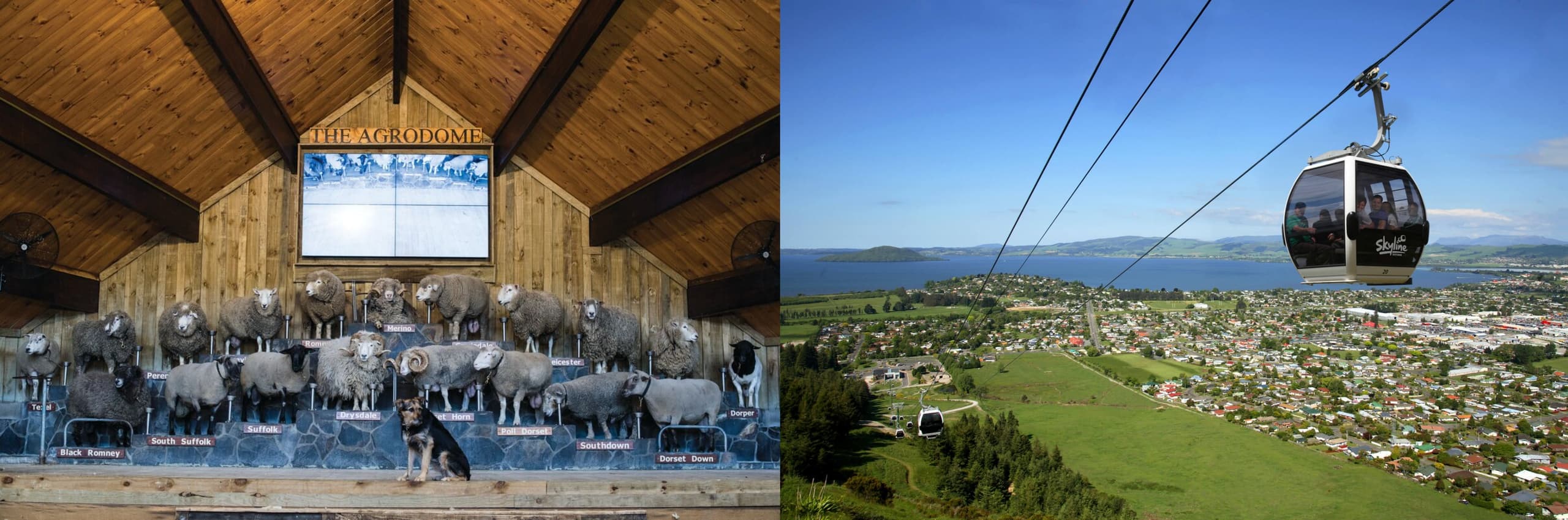 Rotorua Adventures with Auckland & Beyond Tours