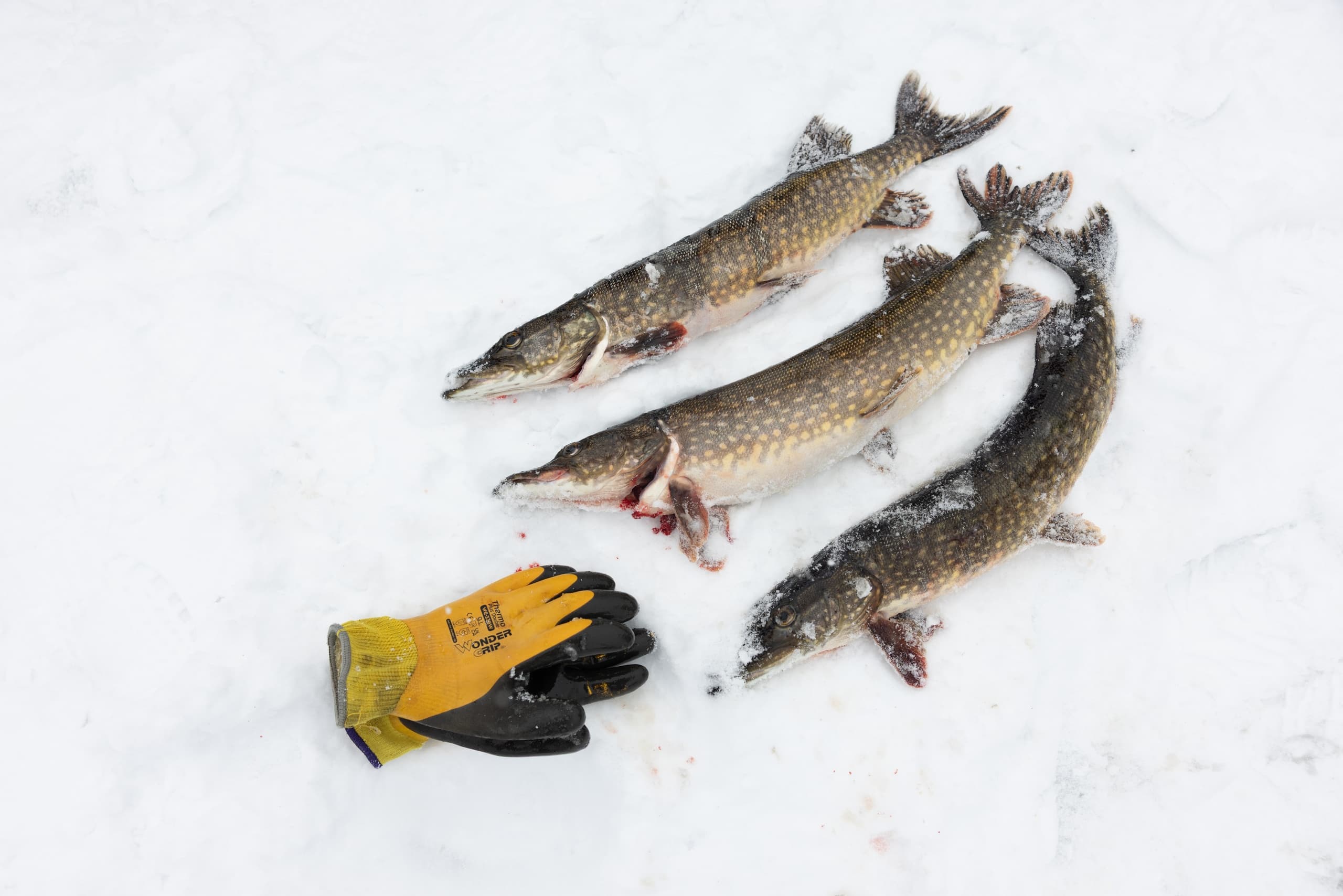 Ice Fishing & Drysuit Float in Pelkosenniemi: Arctic Winter Experience photo 2