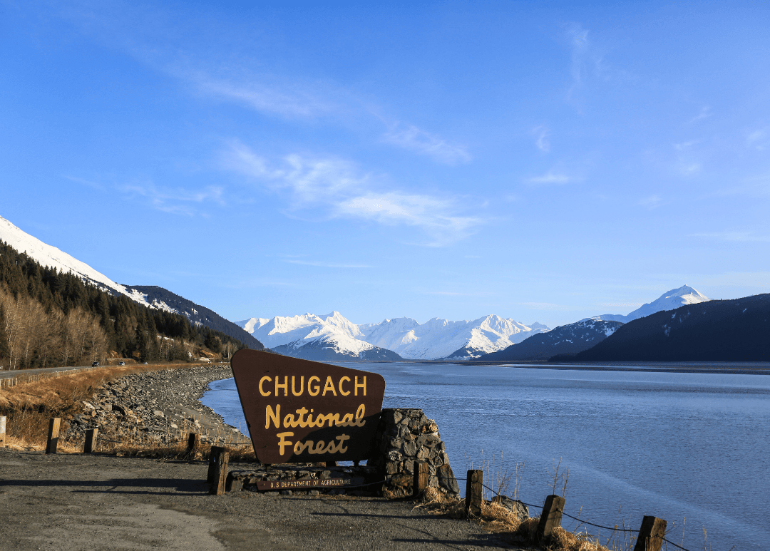 Anchorage to Seward Scenic Transfer: Seward Highway Wildlife & Glacier Views photo 2