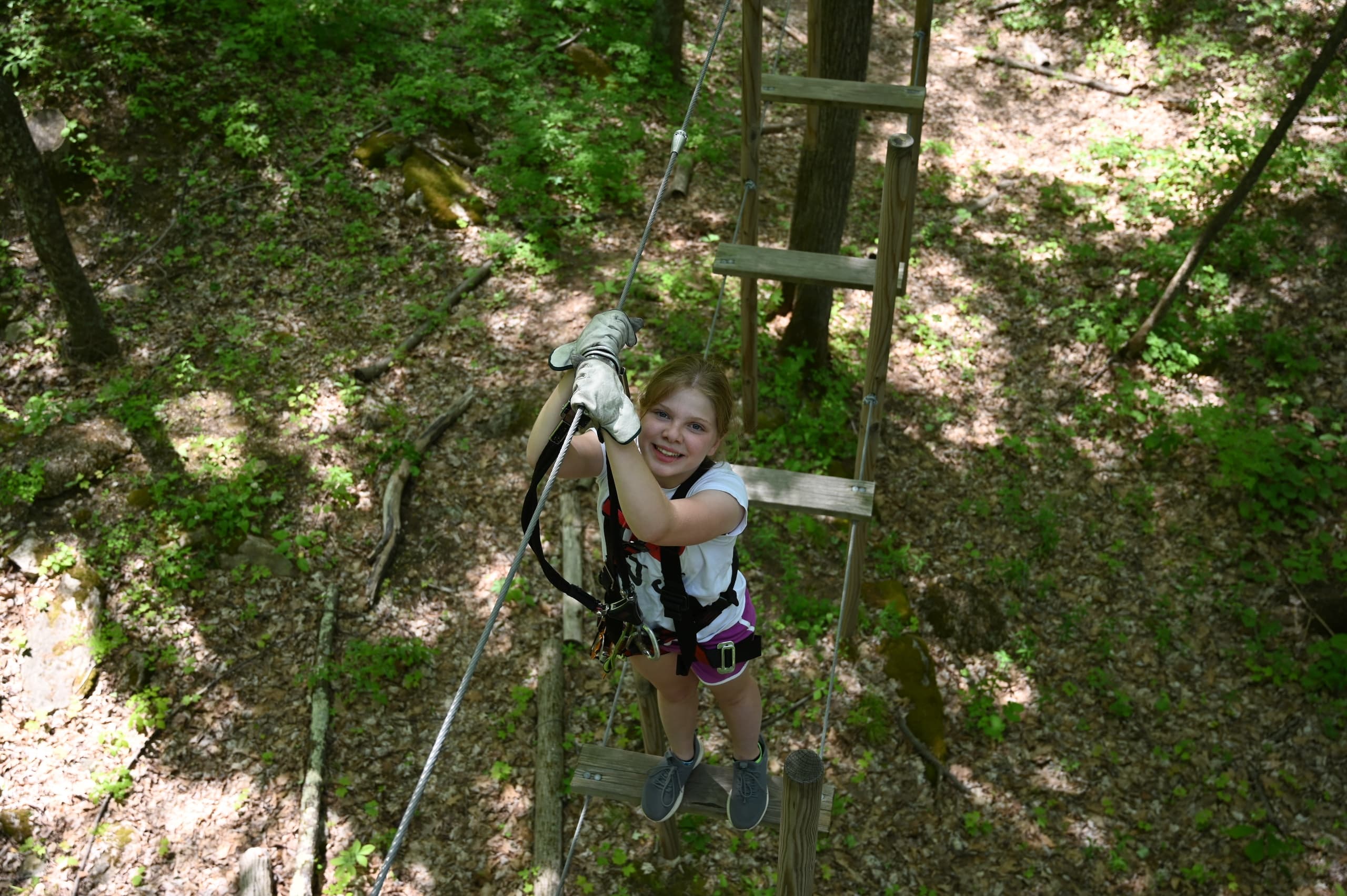 TreEscape Aerial Adventure Park fleet