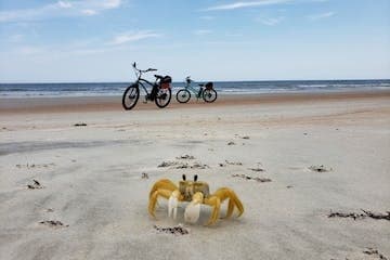 Explore Daytona Beach Shores on an Electric Bike: The Ultimate Coastal Adventure