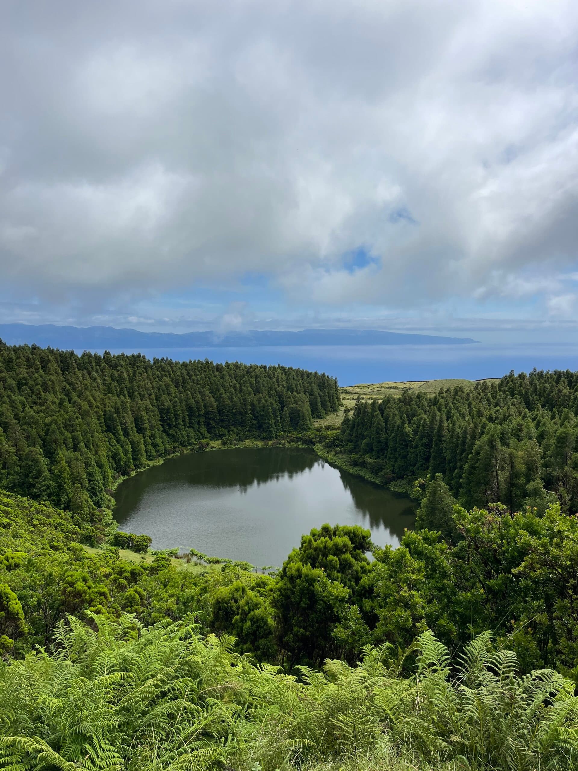 Scenic crater lake surrounded by dense Azores forest and ferns