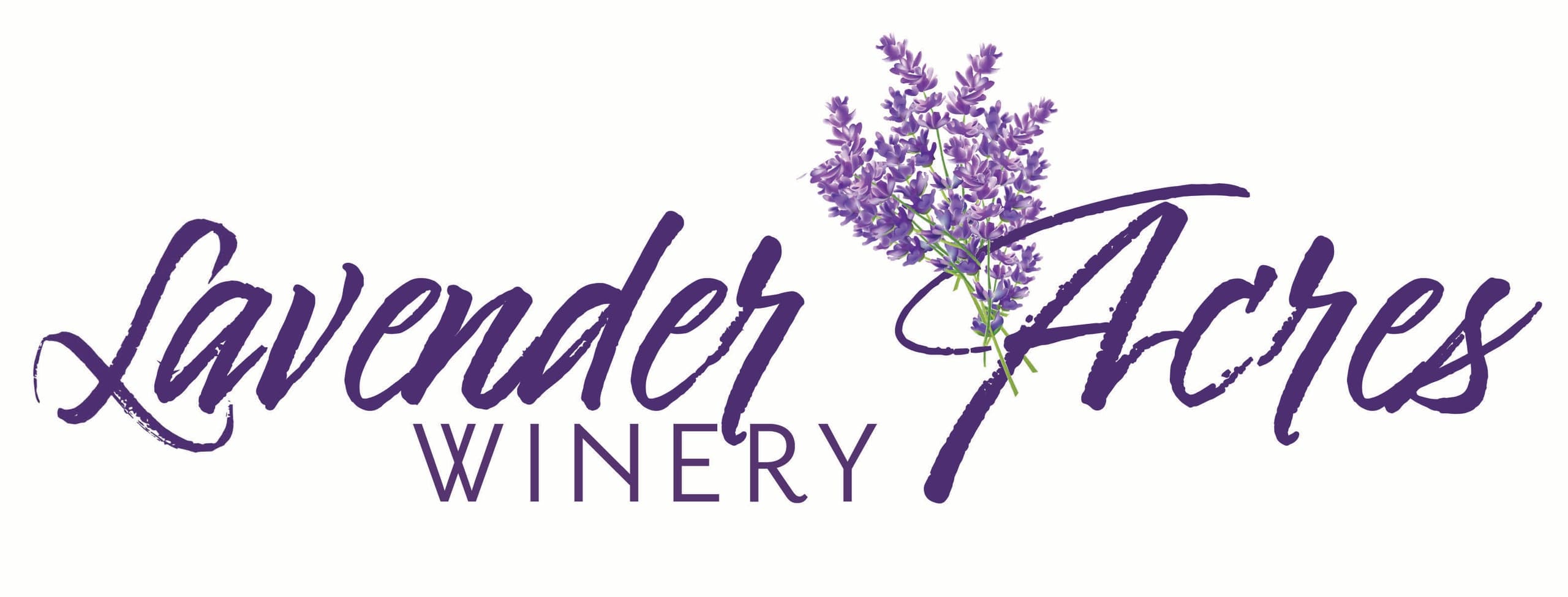 Wine & Cheese Express: Vintage Train Wine Tasting from New Freedom to Hanover Junction