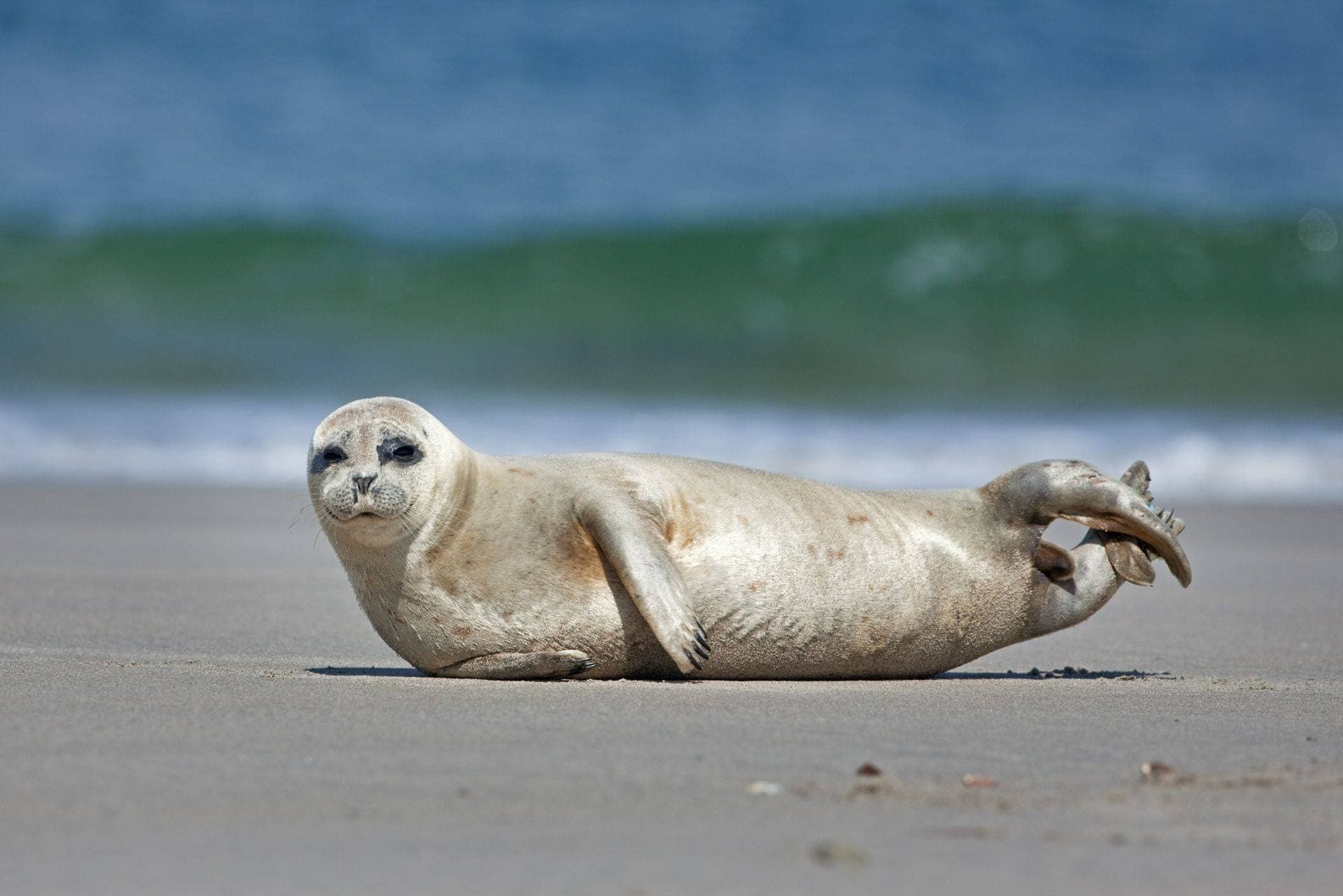 Chichester Harbour Water Tours team