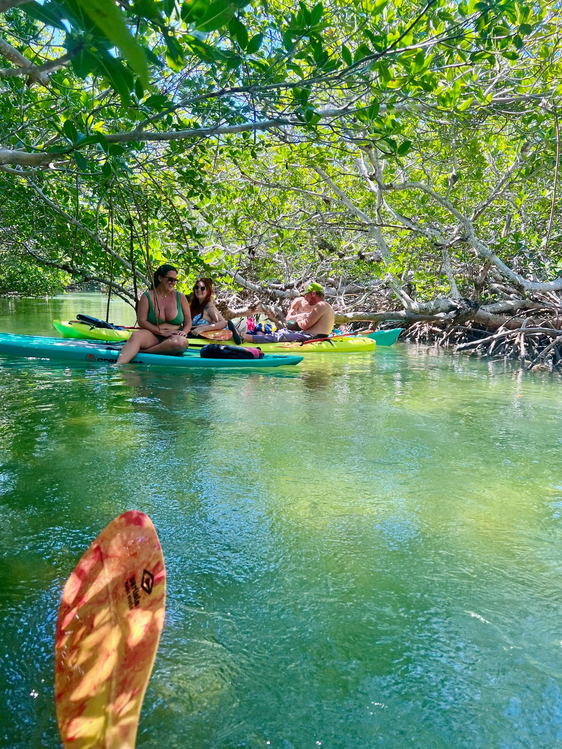 2 Hour Kayak Rental in Key West's Mangrove Maze