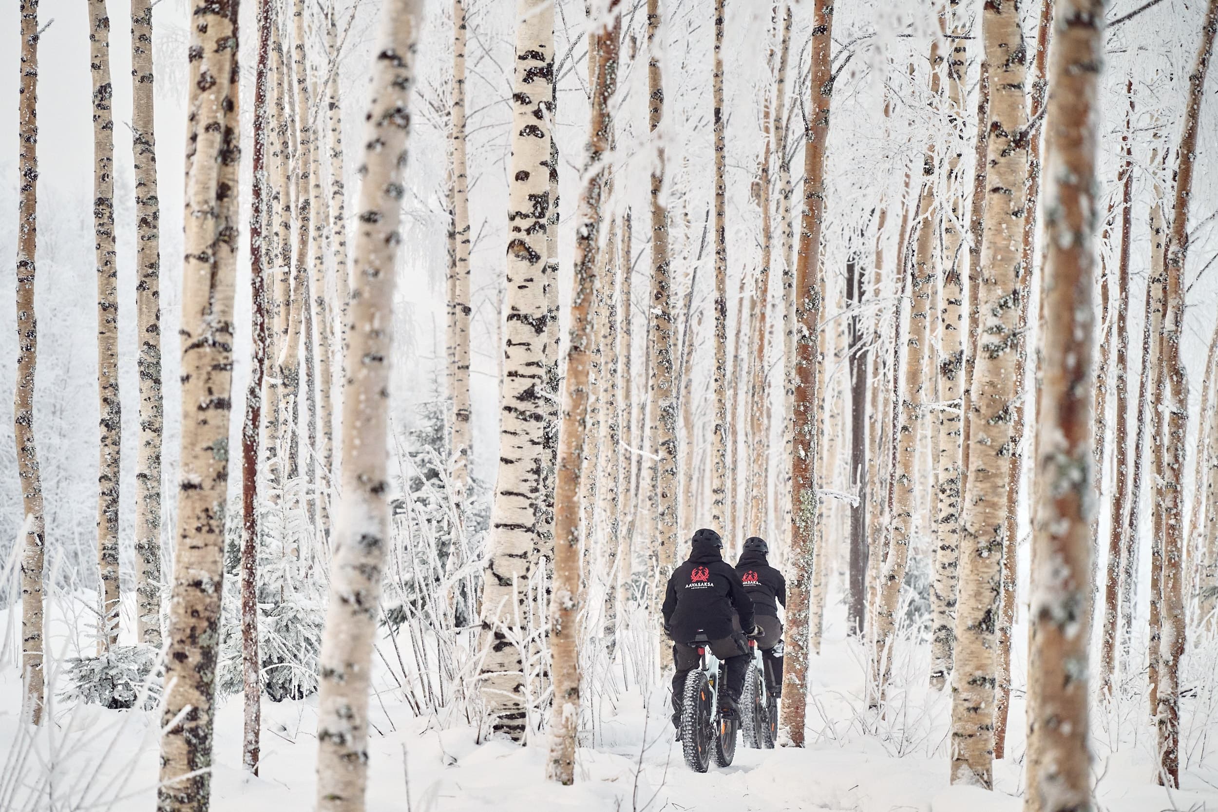 Electric Fatbiking Around Ylitornio: Arctic Trails and Aurora Rides in Lappi photo 4