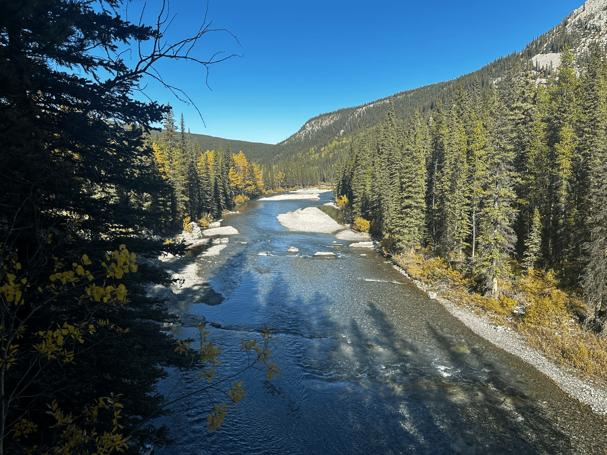 Slow-Flow Sightseeing on the Alpine River: Guided Floats from Bragg Creek photo 2