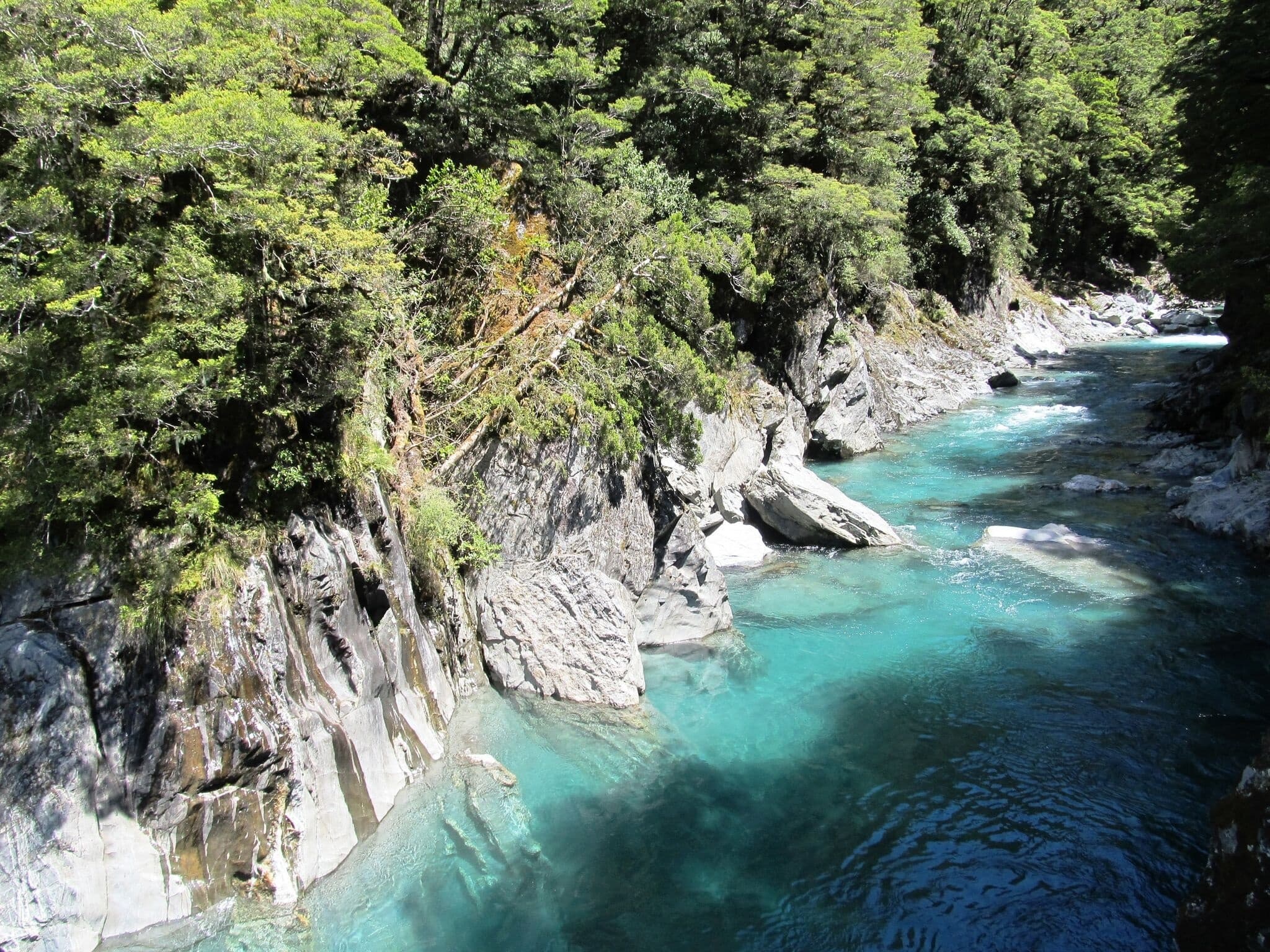 Eco Adventures Wanaka team