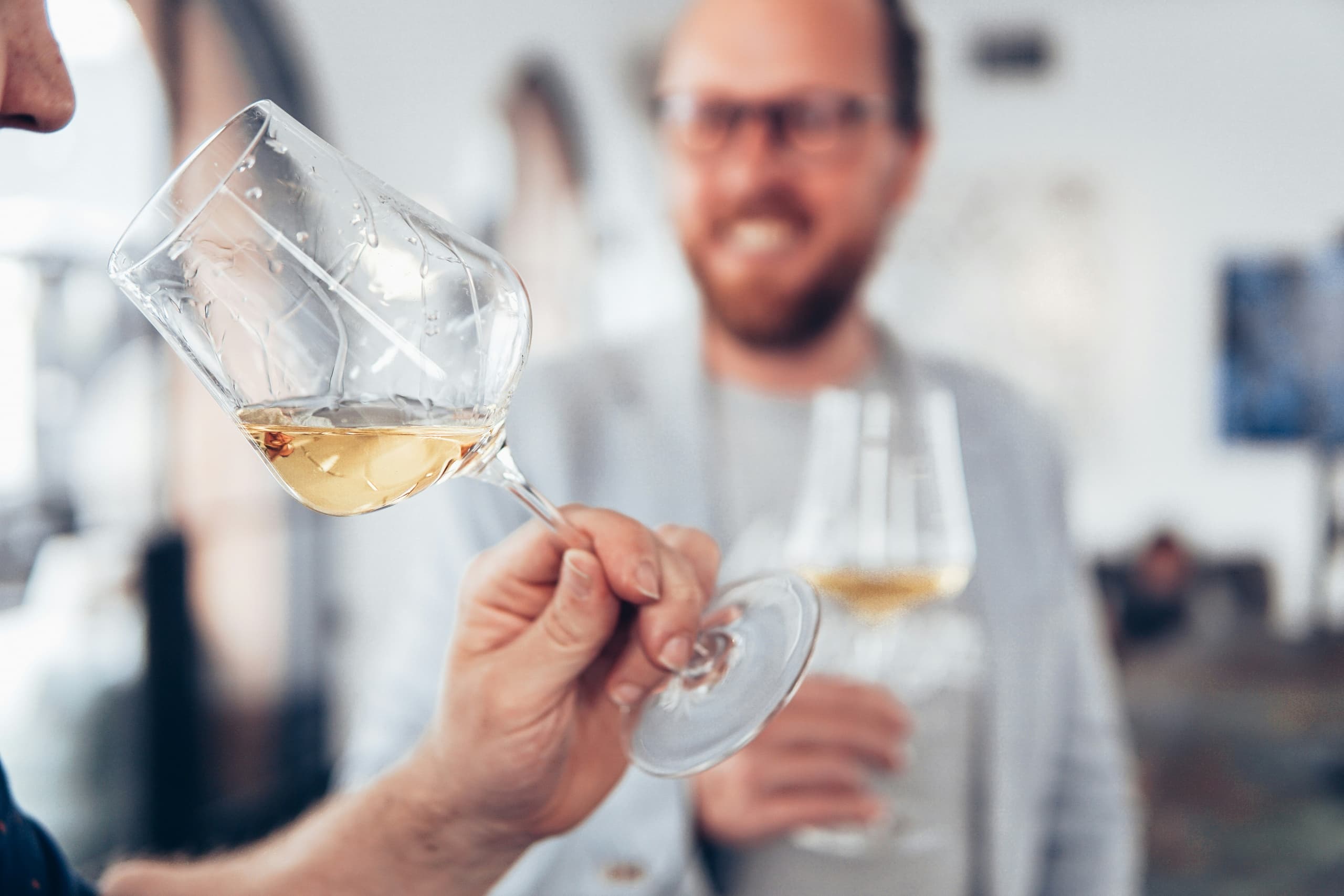 Wine Tasting Adventure with San Francisco Tour Company LLC