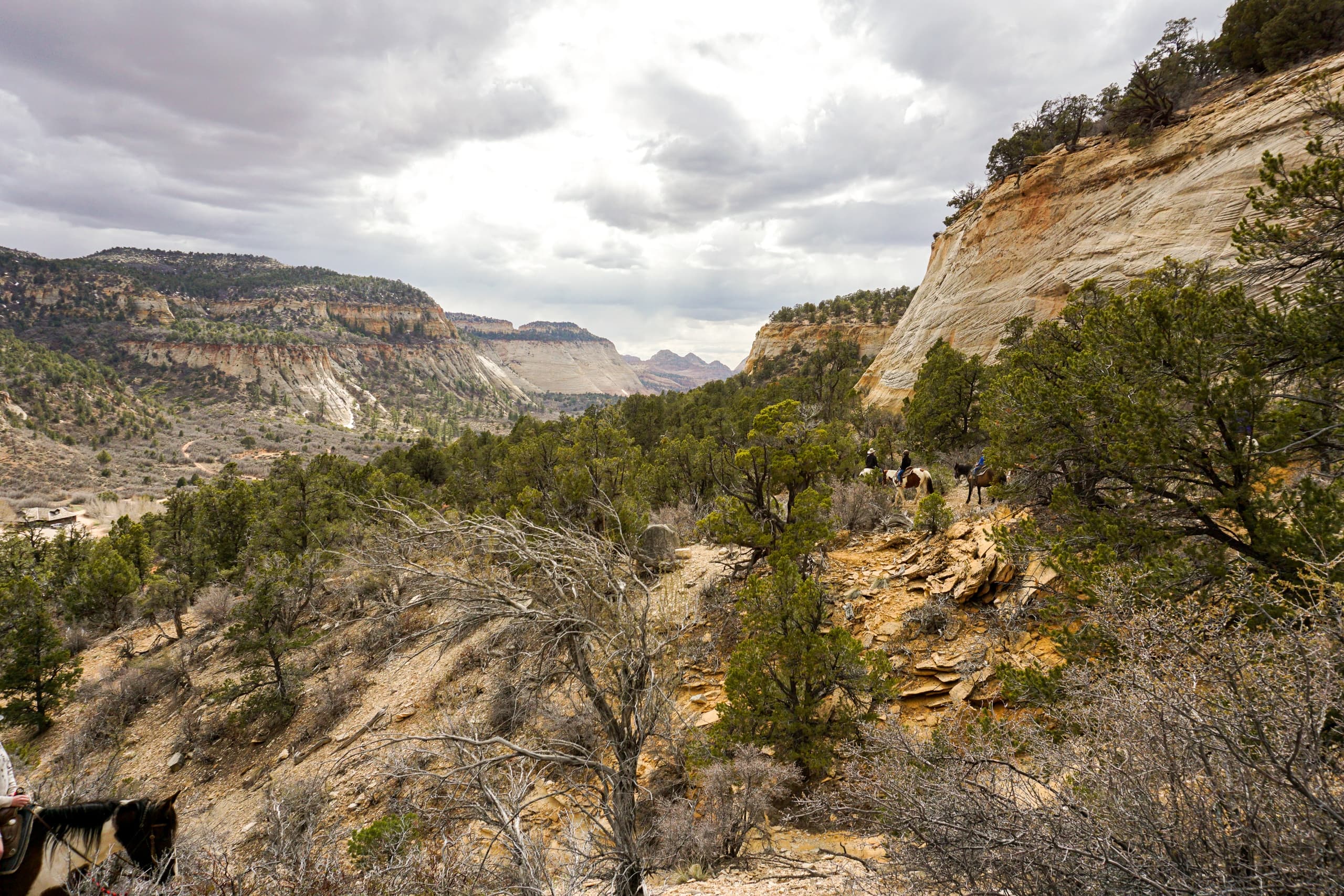 Mustang Mountain Trail Ride in Mount Carmel, Utah