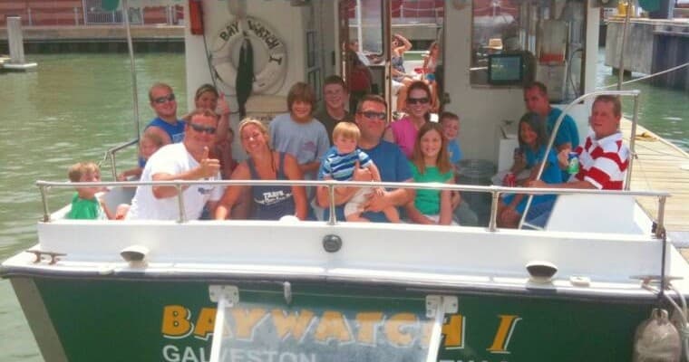 Private Dolphin Watching Charter in Galveston, TX