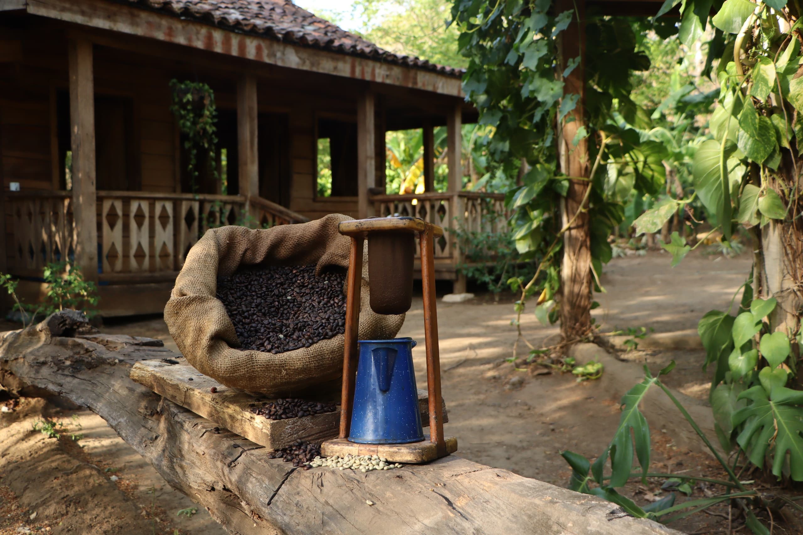Cultural Tours & Wildlife at Diamante Eco Adventure Park